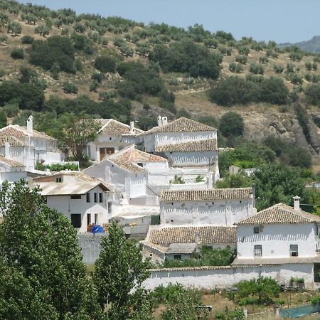 El Asno Azul Pensionat Ribera Baja  Exteriör bild