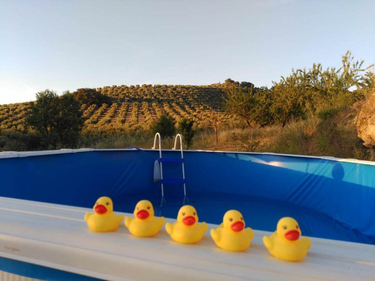 El Asno Azul Pensionat Ribera Baja  Exteriör bild